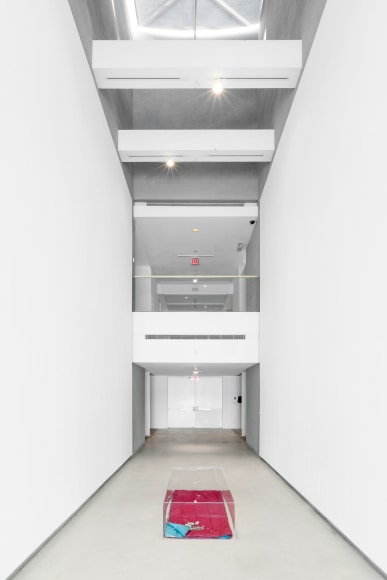 Mike Nelson, Installation view: Amnesiac Hide, The Power Plant, Toronto