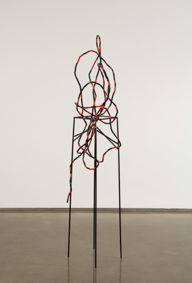 Eva Rothschild, Twins, 2007