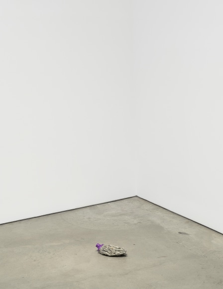 Nina Canell, Crynoid