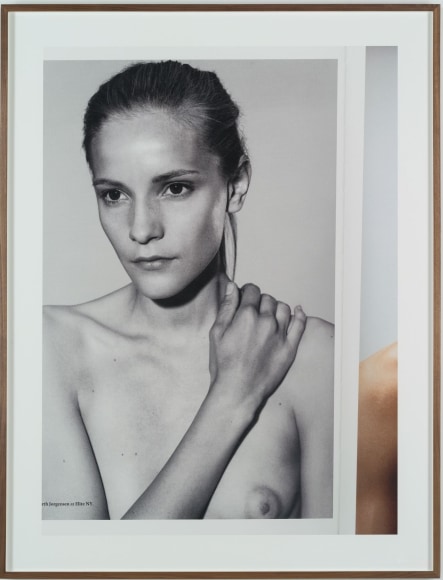 Collier Schorr Dorothea