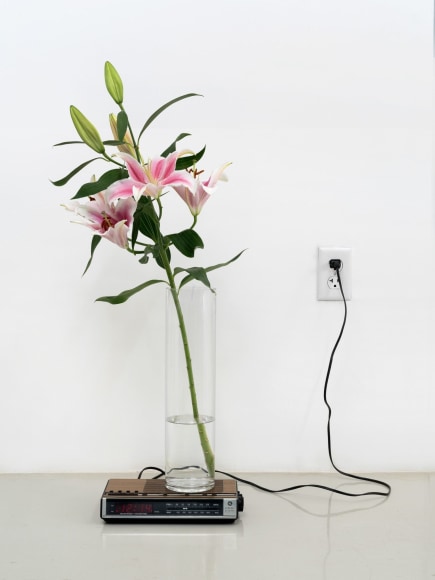 Dominique Gonzalez-Foerster, Untitled