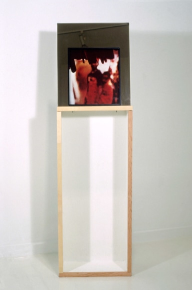 Fareed Armally, Installation view