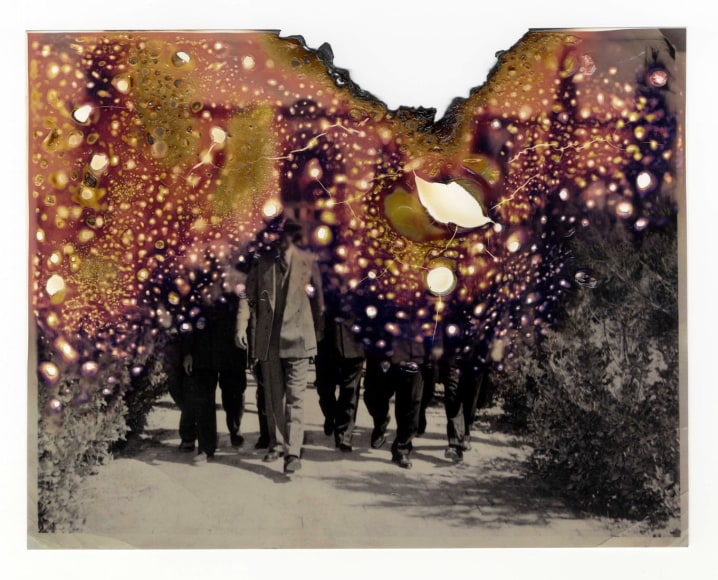 Fatemeh Baigmoradi, 2017