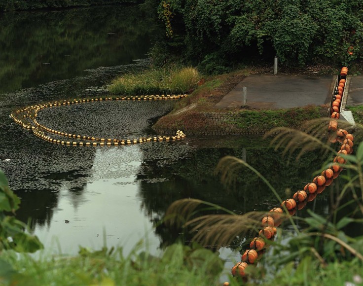 Toshio Shibata, Kashiwazaki City, Nigata Prefecture, 2017