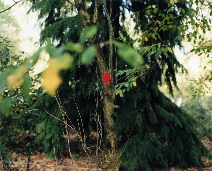 Yoko Ikeda, Otterlo, The Netherlands, 2013