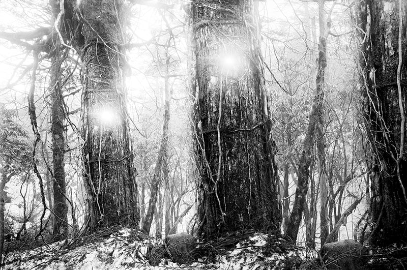 The Sky Inside VIII, 2000