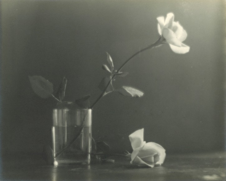 Black and white photo of two white roses, one is in a glass.