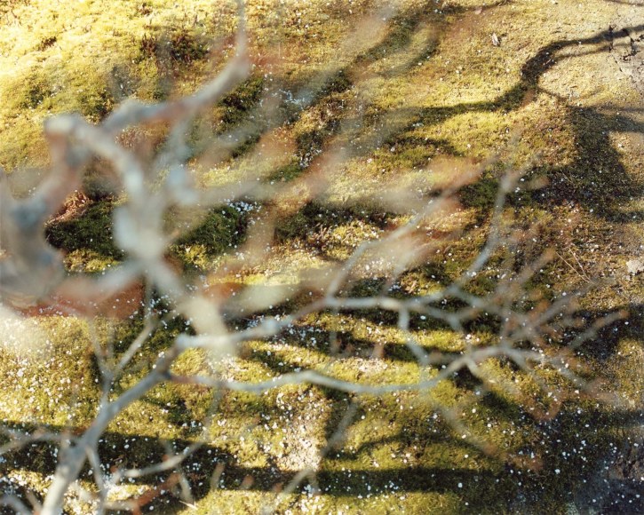 Yoko Ikeda, Kyoto City, Kyoto Prefecture, 2012