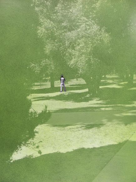 Harold Jones Park (Green), 1982