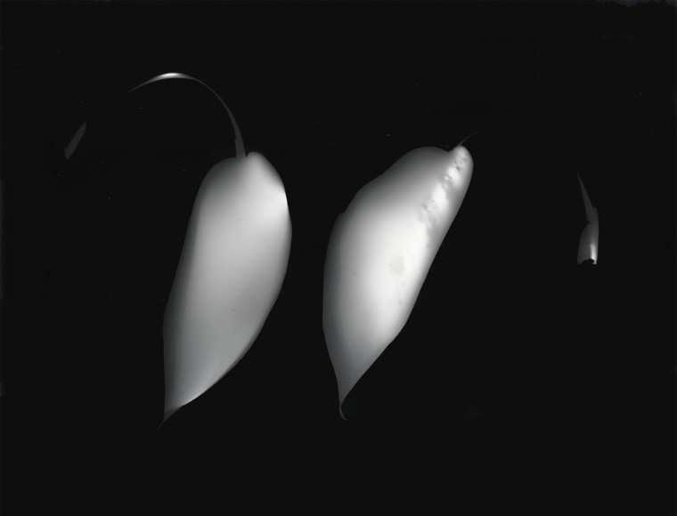 Ray Metzker Photogram, 1991