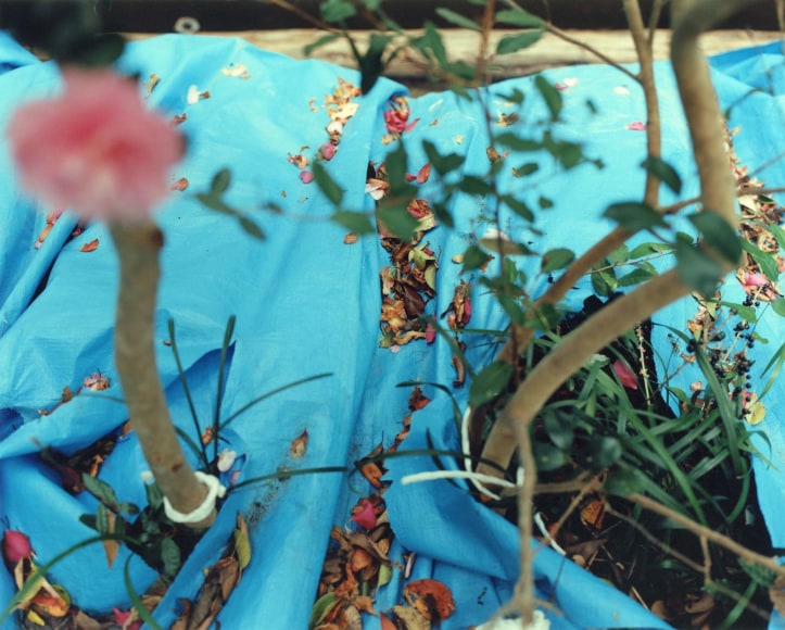 Yoko Ikeda ​Takamatsu City, Kagawa Prefecture, 2014