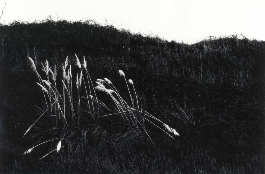 AUTOMAGIC RAY K. METZKER（レイ・K・メッツカー）写真集 Ray Metzker - Artists - Laurence Miller Gallery