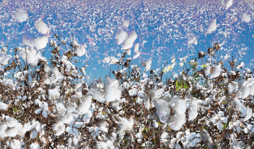 The Final Transition