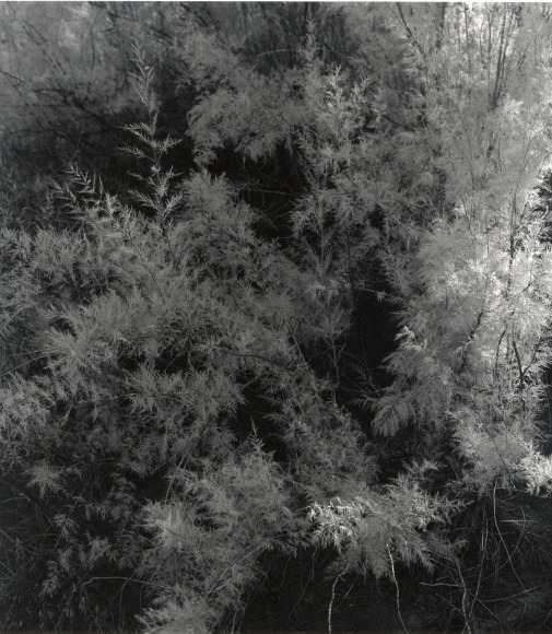 Ray Metzker Moab, Utah, 1994