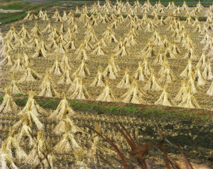 Toshio Shibata, Morioka City, Iwate Prefecture, 2018