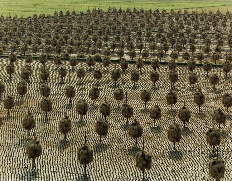 Toshio Shibata, Hirakawa City, Aomori Prefecture, 2006