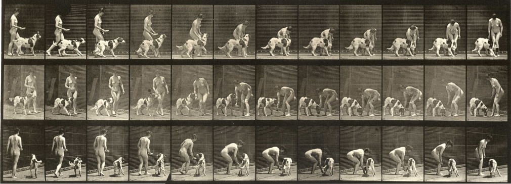Eadweard Muybridge Plate 449