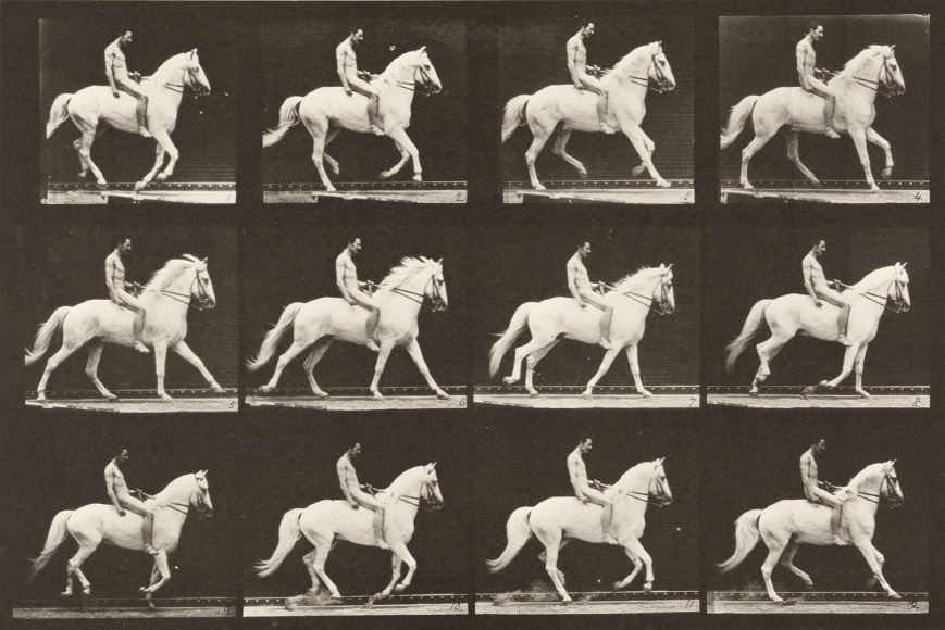 Sequence of black and white images showing the movements of a trotting white horse and nude bareback rider