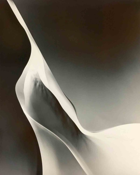 Daniel Ranalli Photogram N&ordm;7, 1979