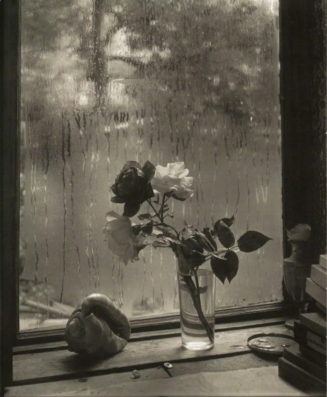 Black and white photo of three roses in a glass of water in front of a condensation streaked window.