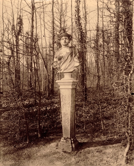 Warm toned photograph of a classical marble bust in front of a wooded background.
