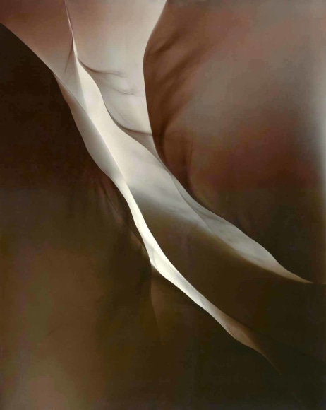 Daniel Ranalli Photogram