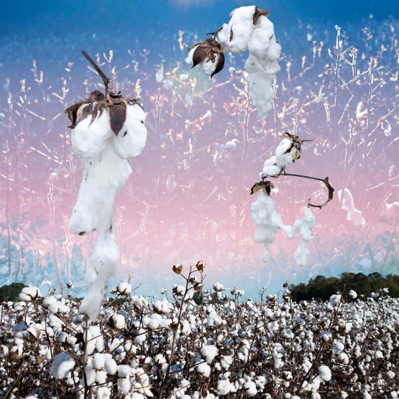 John Dowell, Spirits Rising, 2016