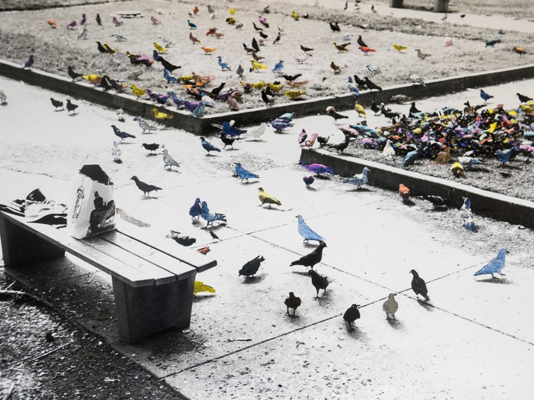 Harold Jones Birds of a Feather, 1977 / 2020