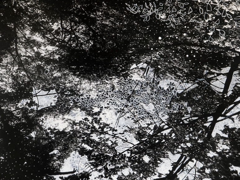 Harold Jones Irish Mystery, 1993