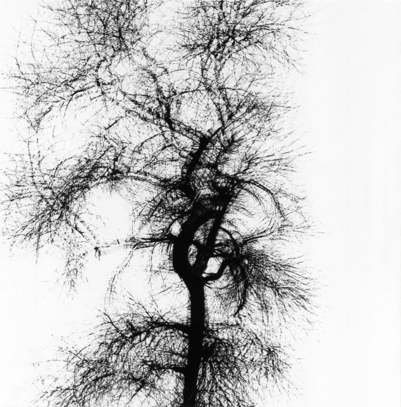 Harry Callahan Chicago, 1956