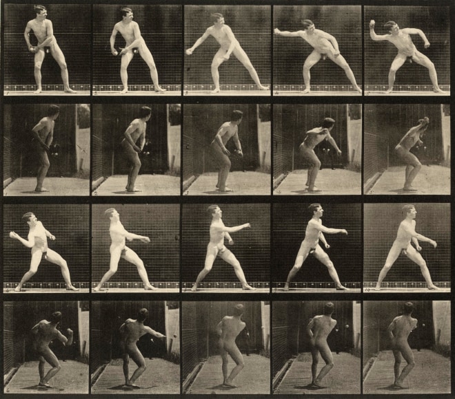 Eadweard Muybridge Plate 273