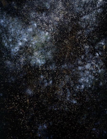 The Sky Inside XVI, 2010