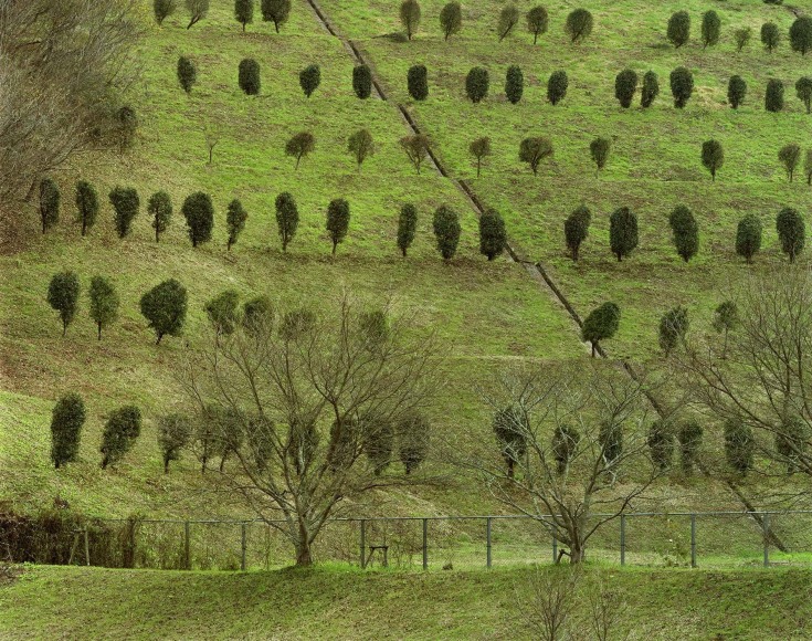 Toshio Shibata Okayama City, Okayama Prefecture, 2015