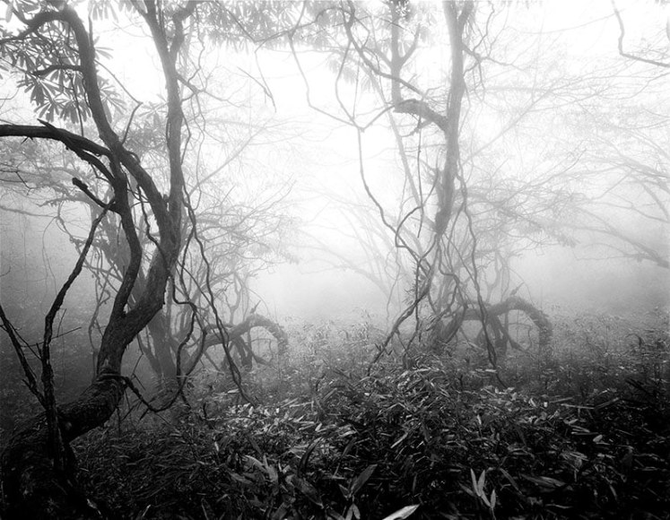 The Sky Inside V, 2000