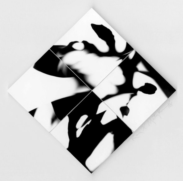 Four part biomorphic abstraction made from black and white photographs.