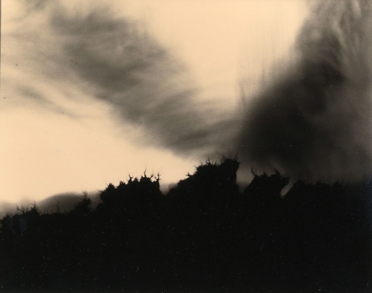 Untitled Photo Chemical Print, 1996 Gelatin silver print