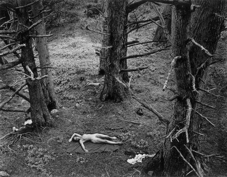 Woman and Dog in Forest, 1953 gelatin silver print