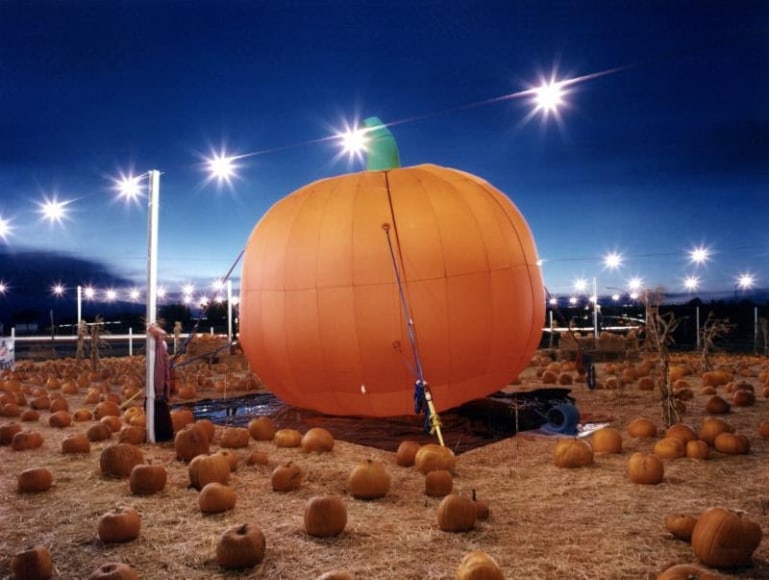 David Graham: Watsonville, California, 1989