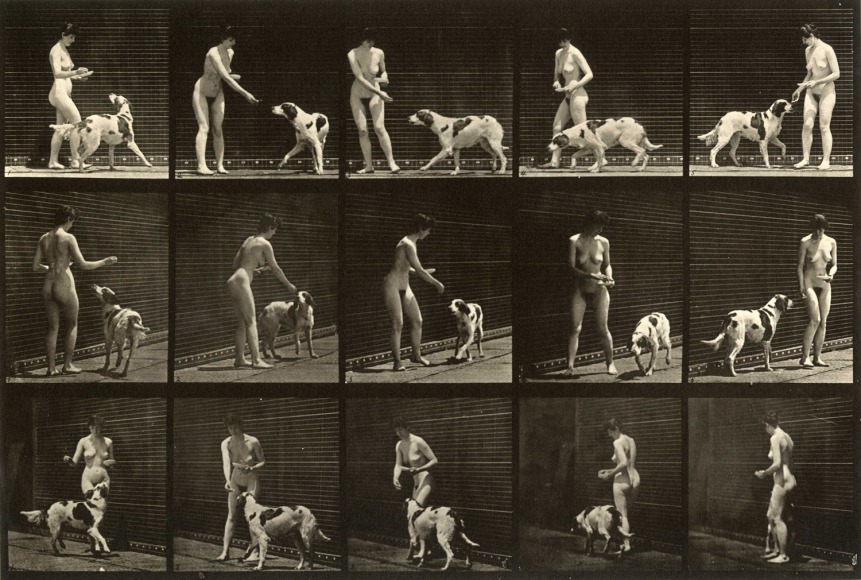 Eadweard Muybridge Plate 514