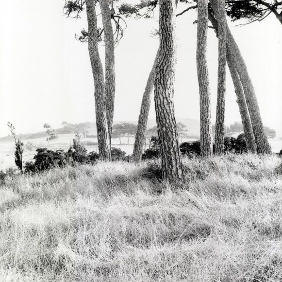Ray Metzker Festa di Foglie, Italy, 1985