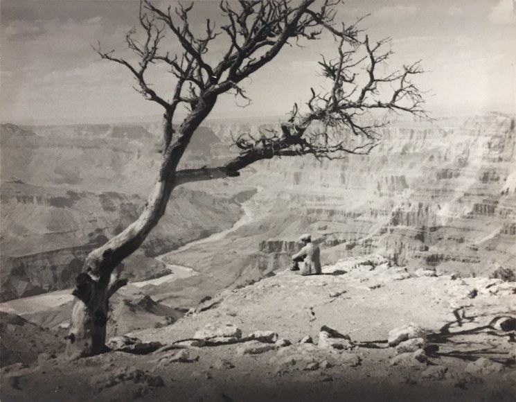 Man Overlooking the Grand Canyon, c. 1930's black and white photograph