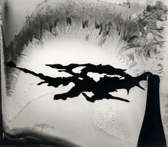 Minor White Root and Frost, Rochester, NY, 1958