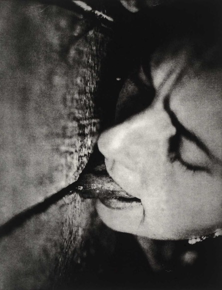 Kiki Smith My Secret Business, 1992-93