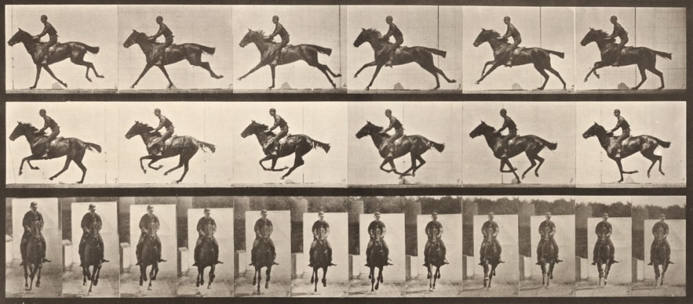 Sequence of black and white photos showing the movements of a galloping horse with a rider