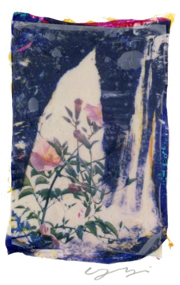 Yuji Hamada C/M/Y Waterfall , 2014