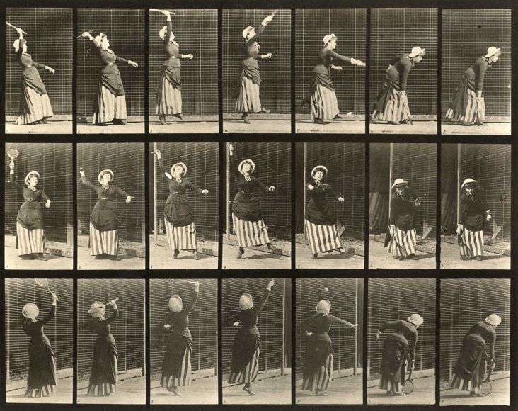 Eadweard Muybridge Plate 298