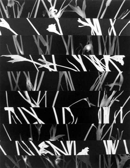 Loveletter, 2007 Mounted gelatin silver prints