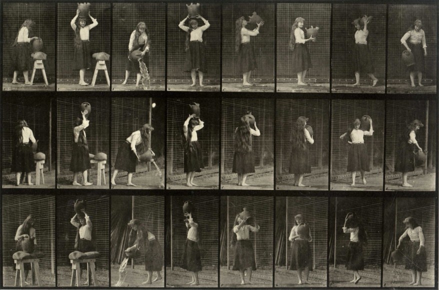 Eadweard Muybridge Plate 517