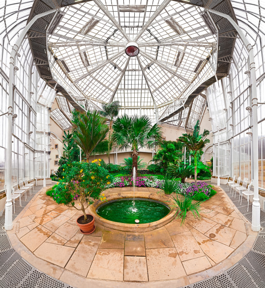 Raissa Venables Pillnitz Palm House, 2010