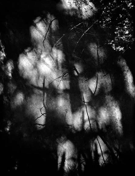 The Sky Inside X, 2011